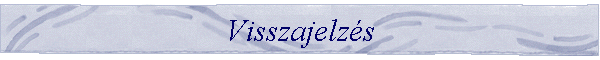 Visszajelzs