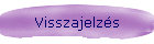 Visszajelzs